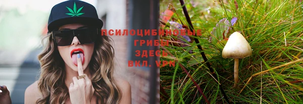 герыч Горняк