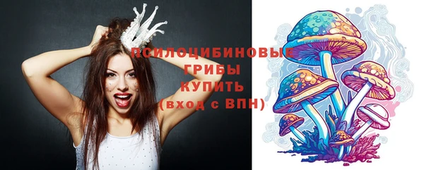 прущий лед Горнозаводск