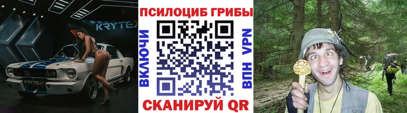 KRAKEN вход  купить   Ленинск  Галлюциногенные грибы Cubensis 